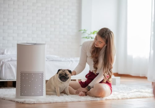 What Air Filters Should I Buy for My House to Combat Dust Mites Effectively